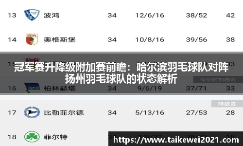 冠军赛升降级附加赛前瞻：哈尔滨羽毛球队对阵扬州羽毛球队的状态解析